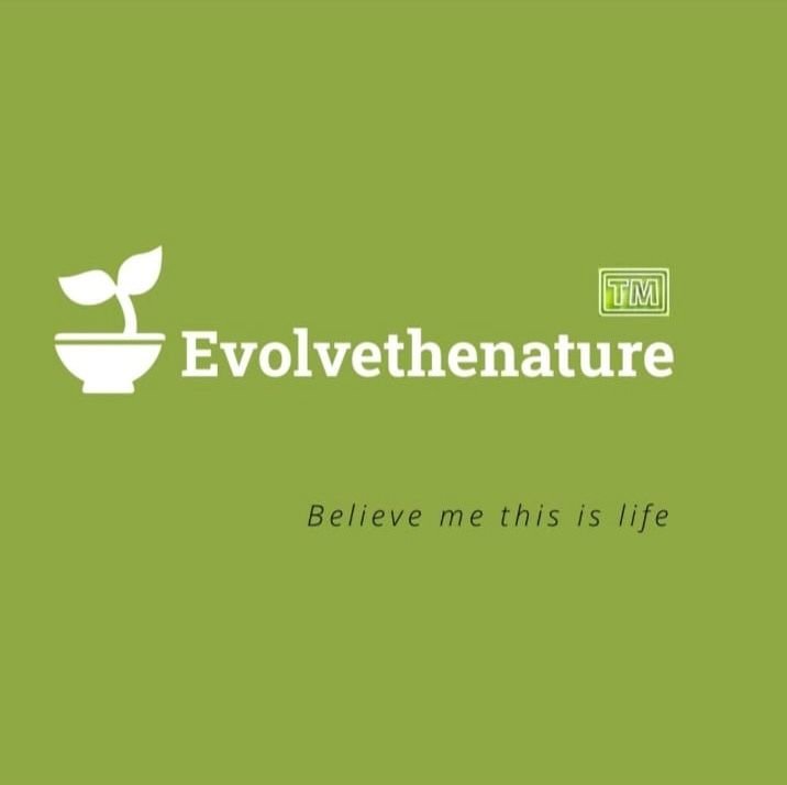 Welcome to Evolvethenature: Redefining Wellness Through Nature’s Wisdom